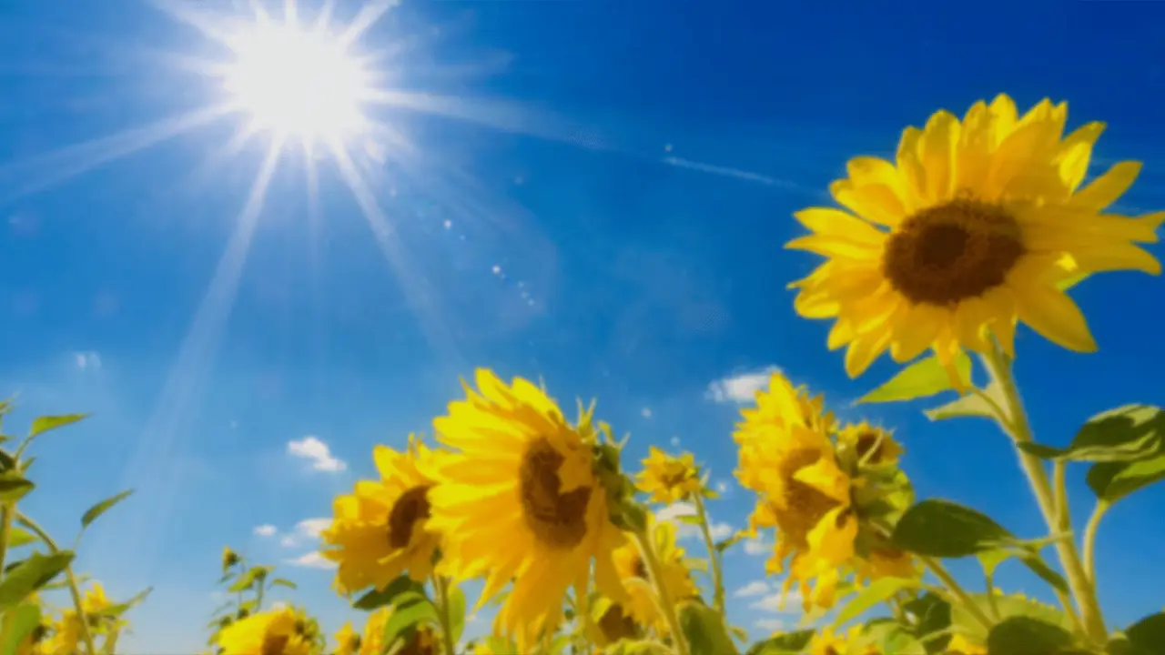 توقعات الطقس في الجزائر: أجواء مشمسة ودرجات حرارة معتدلة في أغلب المناطق